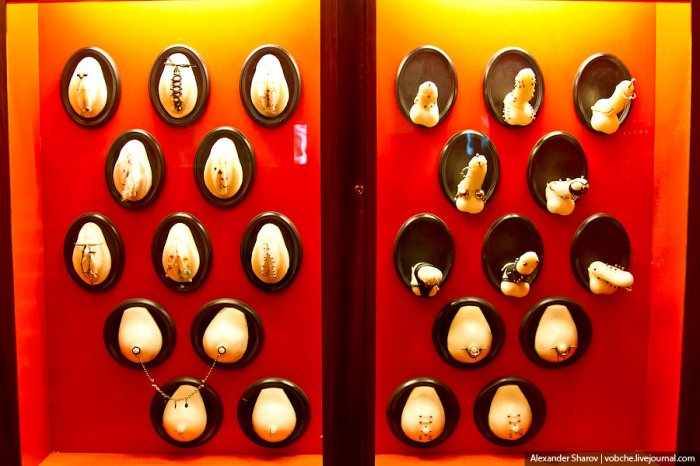 Музей секс-приспособлений в Праге (29 фото)